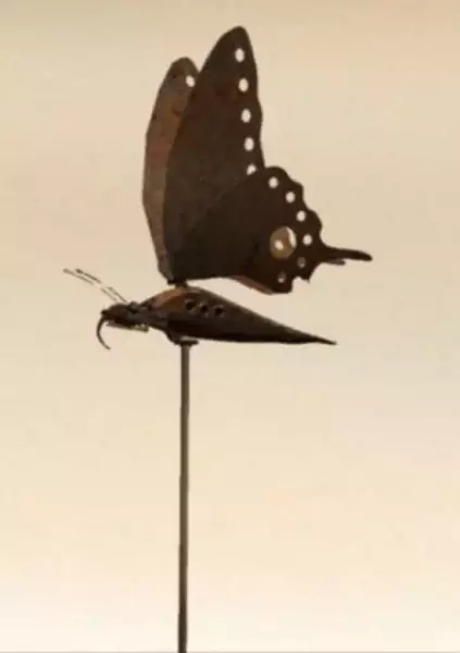 Lost Butterfly