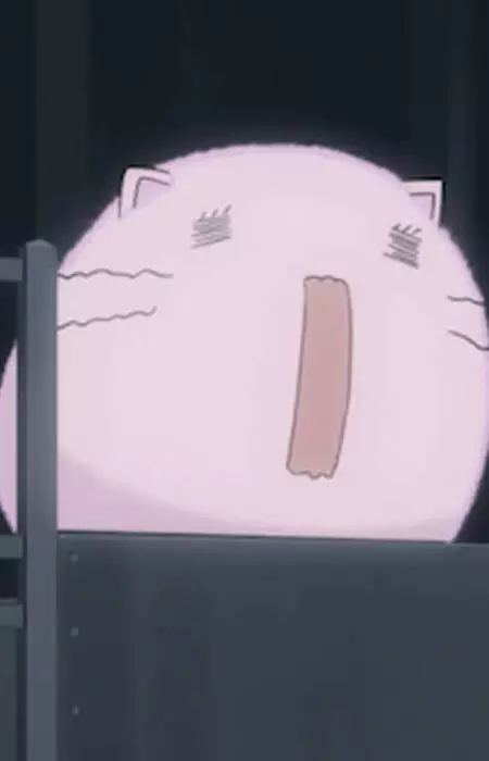 Momoneko