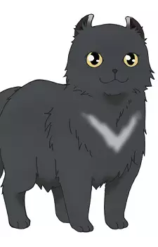 Yozora