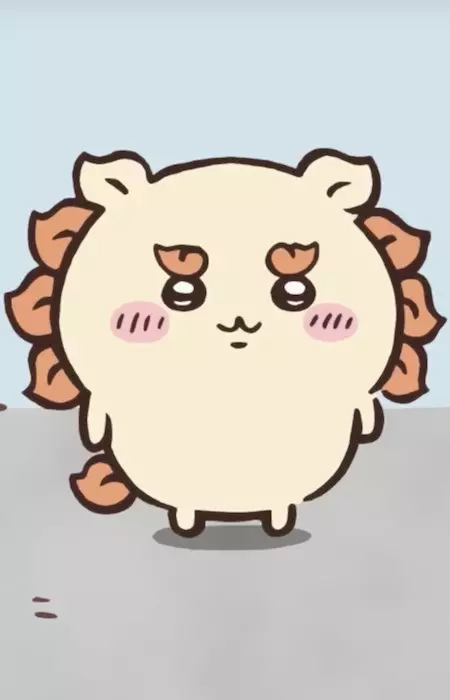 Shiisaa