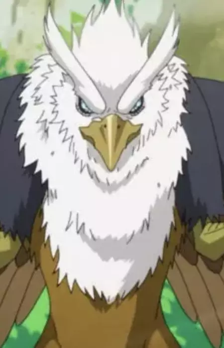 Griffon