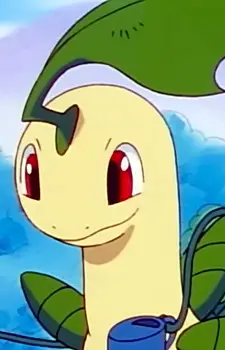 Bayleef