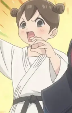 Judo Fighter