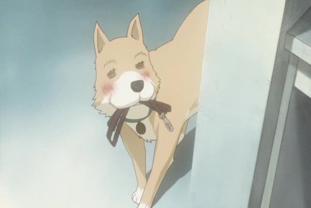Ep. 15