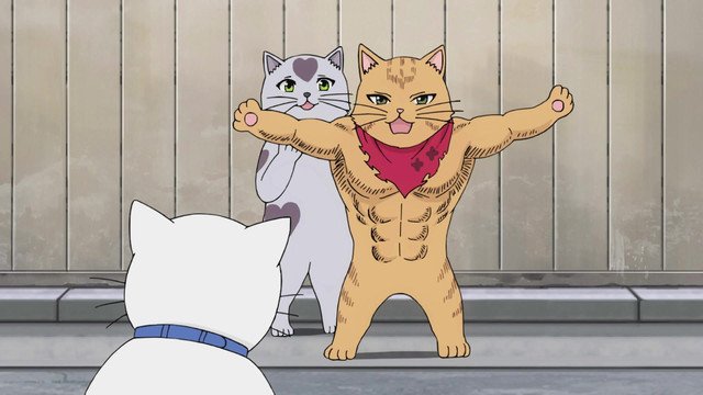Ep. 10