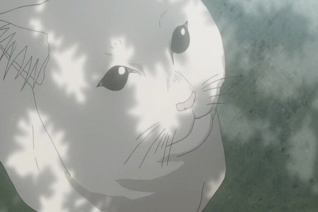 Ep. 24