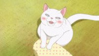 Ep. 5