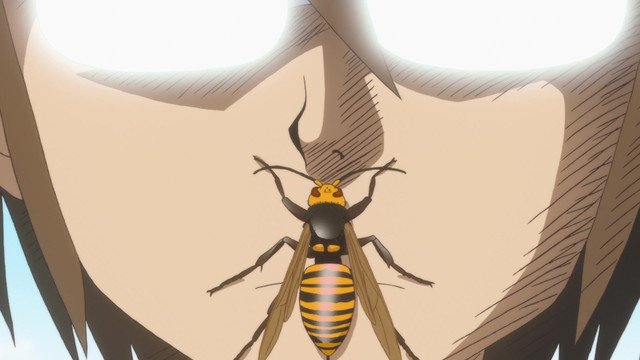 Ep. 8
